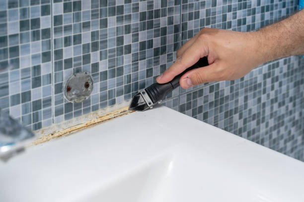 Best Same-Day Mold Removal  in Basin, WY