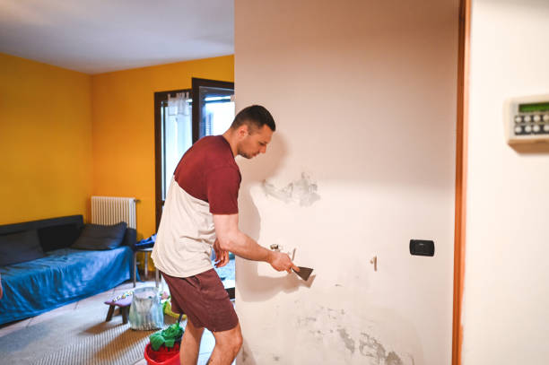 Best Office Mold Removal Services  in Basin, WY
